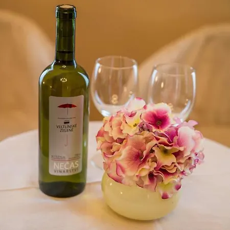 Pensión Zámek Lobec