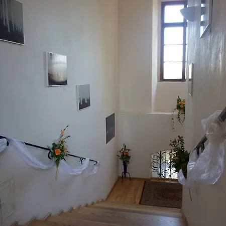Guest house Zamek 3*